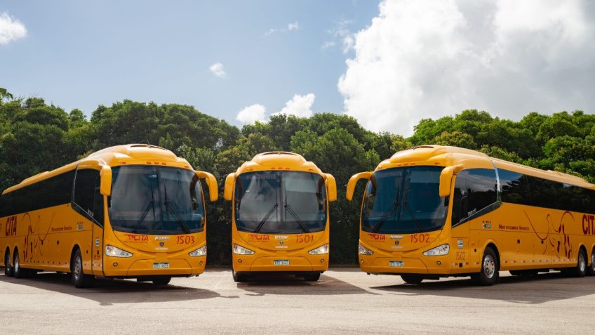 Nos encanta llevarte